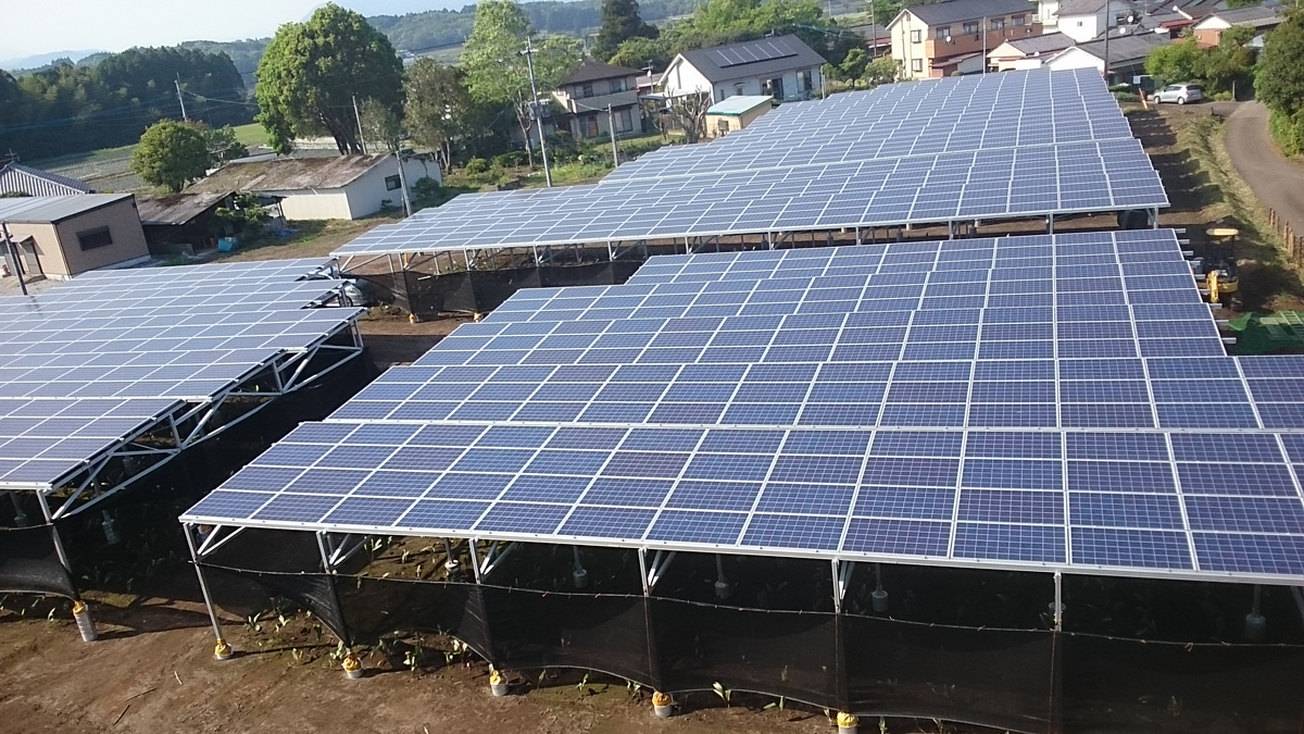 営農型太陽光発電