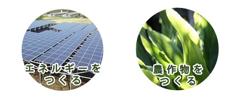 農業と太陽光発電をシェアリング